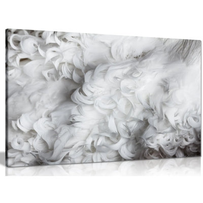 Feathers - Wrapped Canvas Print