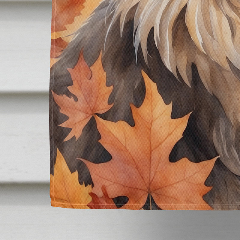 Chat en feuilles d'automne, British Longhair