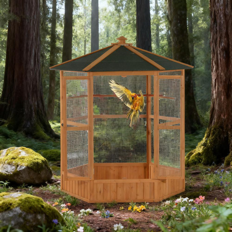 Cage à oiseaux en vol