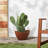 Edgewater Pot Planter-16108024-16108027