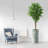 75'' Faux Ficus Tree in Pot