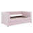Rose est en rupture de stock