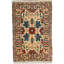 Wool Oriental Area Rug