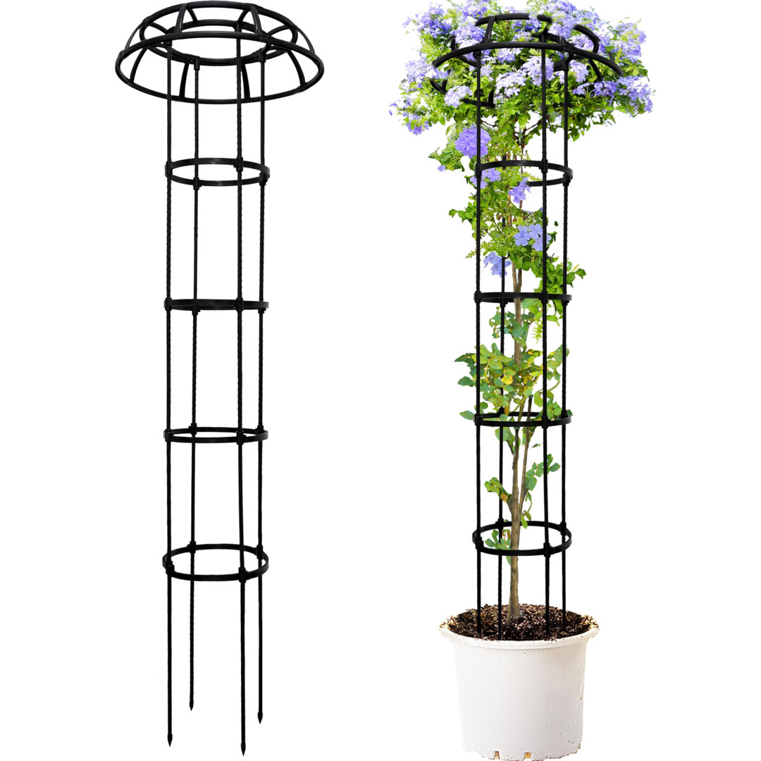165cm H x 25.5cm W Metal Arched Trellis