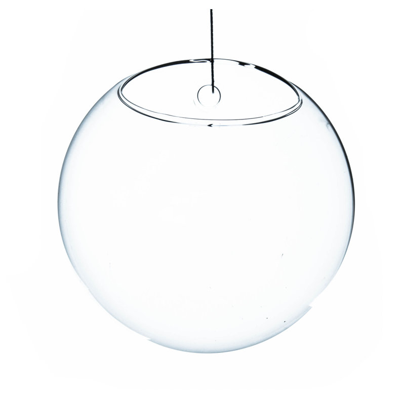 Terrarium en verre, H 6 po x l 6 po x p 4 po