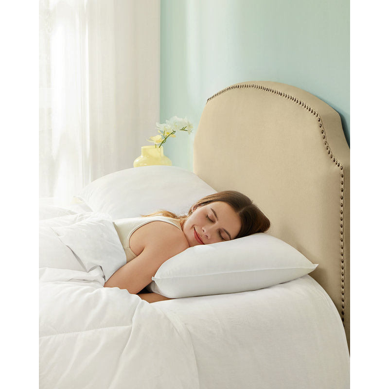 Plain Weave / Muslin Pillow Case
