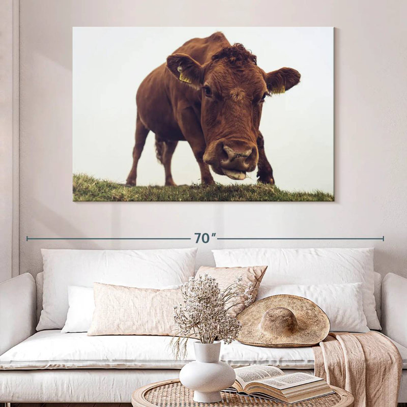 Visage de vache chocolat, H 34 po x l 51 po