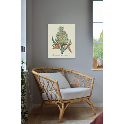 Pineapple Botanical by Linda
