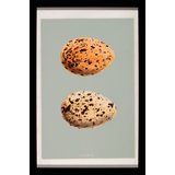 Classic Egg Study 1 Framed Graphic Art