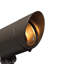 Petit projecteur d'accent de paysage Line Voltage 120v