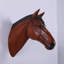 Statue tête de cheval-368923049