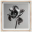 Tidal Wilt III Print by Oliver Gal-637662199-637662194