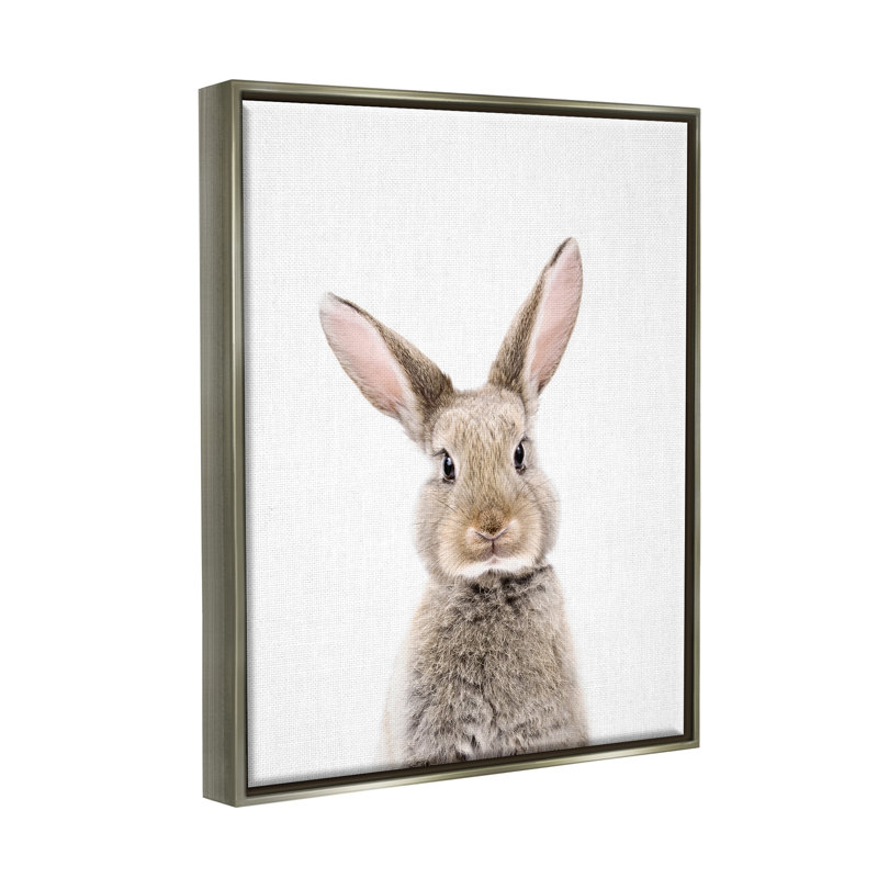 «Rabbit Face», impression encadrée sur bois, H 21 po x l 17 po x P 1,7 po, Cadre flottant gris lustré