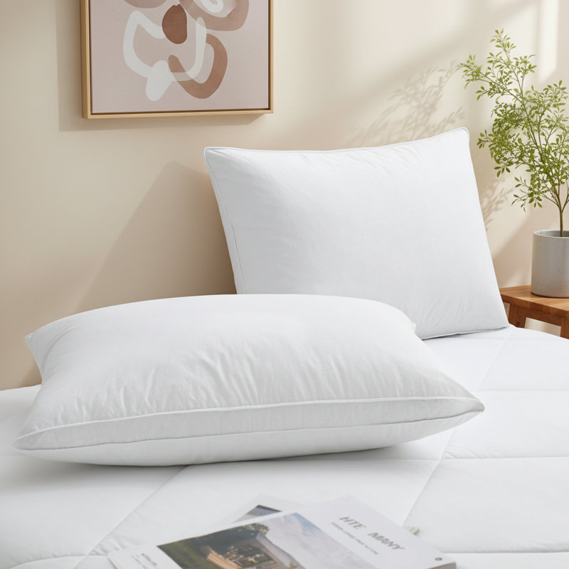 Ensemble de 2 oreillers en duvet d'oie à plumes et en duvet à soufflet Gusset, Grand lit, Brun