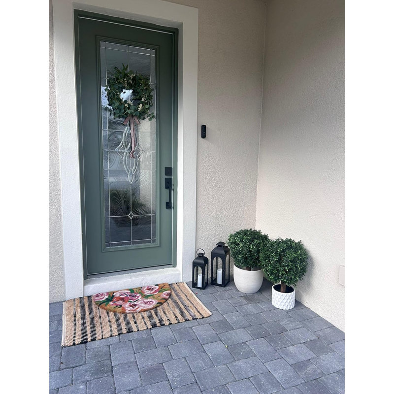 60cm Plant