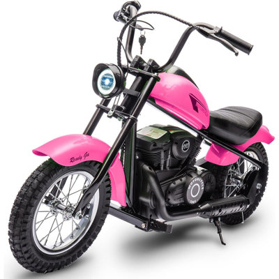 24V Kids & Teens Electric Dirt Bike, 250W Motor, 14MPH, LED Light, Leather Seat, 60Min Ride Time