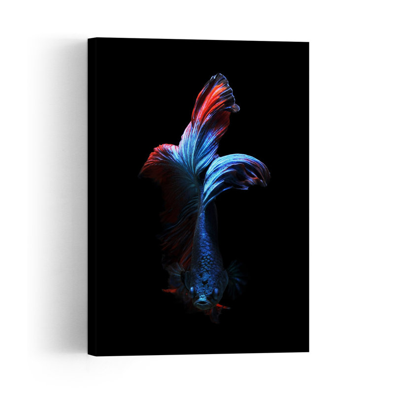 Majestic Betta Flow Colorful Elegant Serene Fish Portrait Tropical Wall Art Print 1 Piece Wrapped Canvas Wall Art