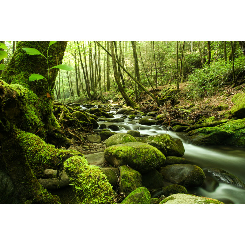 «River» par Sstevens3, reproduction sur toile tendue, L 30 po x H 20 po