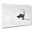 Magpie In Flight - Wrapped Canvas-56629880