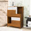 Meuble pour chat 2 en 1, litière et table d'appoint, maisonnette pour chat avec rangement pour 2 chats-1049511067