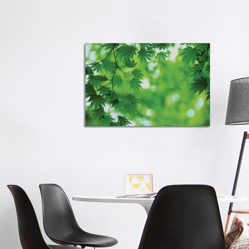 Full-Moon Maple Leaves, Hokkaido, Japan by Masami Goto - Wrapped Canvas Print, 101.6 cm H x 66.04 cm W x 3.175 cm D