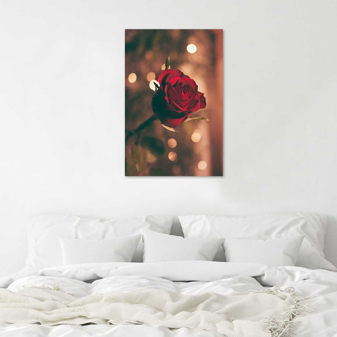 Fotodruck Red Rose Flower