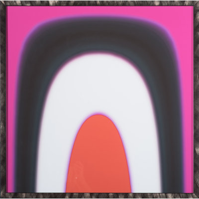 Pop Series 1 (Pink) par Jeffrey Goodman - Cadre photo, impression sur papier