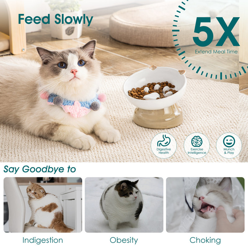 Slow Feeder, Brown/White
