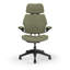 Freedom Headrest Ergonomic Task Chair - Autumn-1383268634