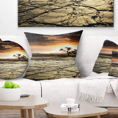 Throw Pillow