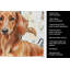 Serviette de cuisine Coffee Bar-1234934560