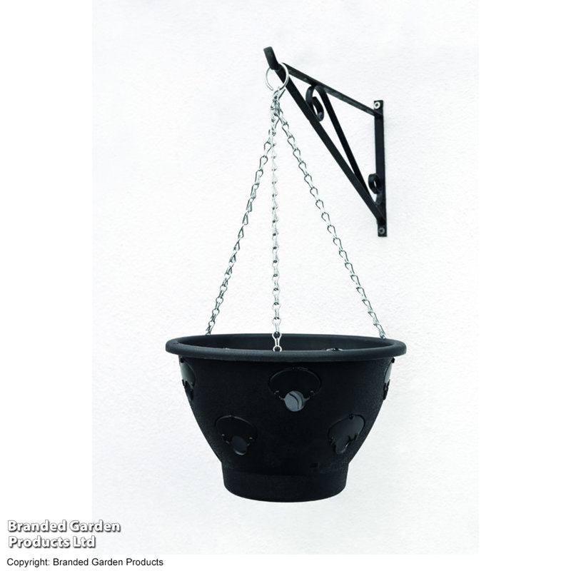 Hanging Planter