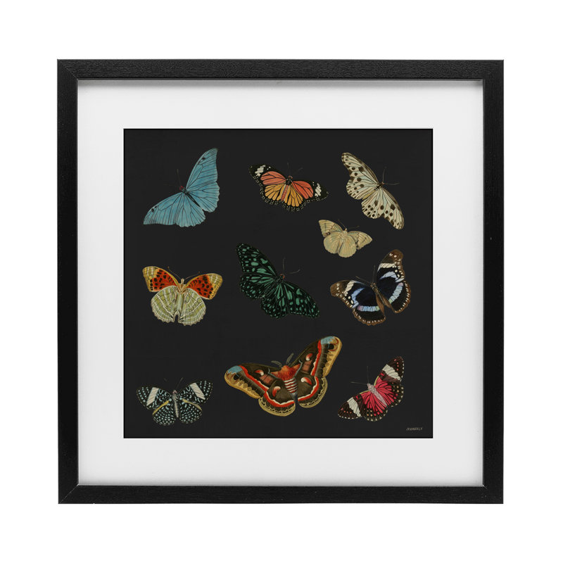 «Insectes Group» sur reproduction encadrée noire sous verre, conception de Dan Meneely, H 16 po x l 16 po, Cadre noir minuit