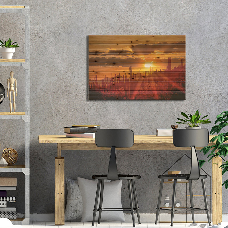 États-Unis, Arizona, Tucson, parc national Saguaro I, H 18 po x l 26 po x P 1,5 po