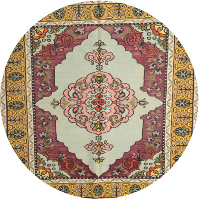 Oriental Indoor Rug