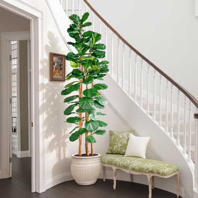 Figuier artificiel 5 pi 5 pi, grand ficus artificiel avec tronc en bois naturel, feuilles réalistes 3D et pot blanc, plante de sol en pot pour la décoration intérieure et extérieure