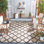 Adler Performance Geometric Indoor/Outdoor Area Rug