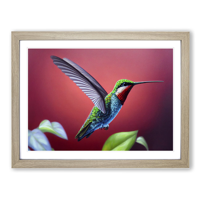 Charming Hummingbird - Single Picture Frame Print, 34cm H x 46cm W x 2cm D, Oak