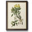 Toile encadrée de qualité supérieure Olive Greenery IV - prête à être accrochée-1615829141