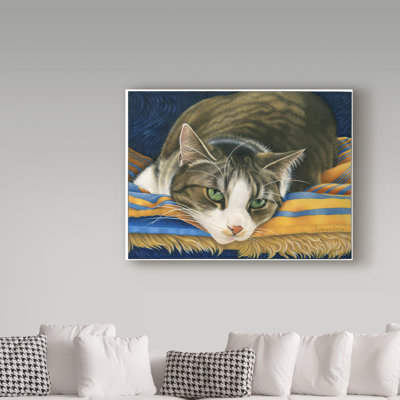 «A Grey Cat on Blanket», reproduction de peinture acrylique sur toile tendue Furtado