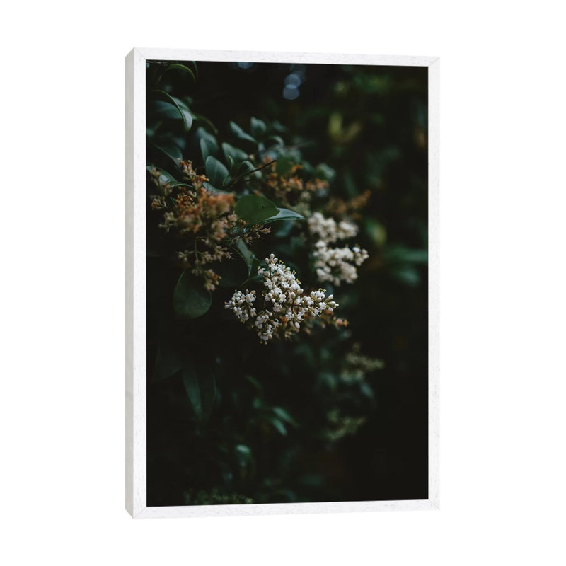 Washington Blooms by Bethany Young - Print on Canvas, White Framed, 66.04cm H x 45.72cm W x 3.81cm D