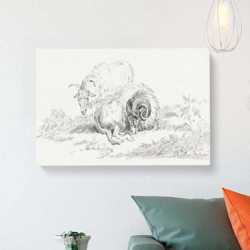 Sketch Of Two Goats by Jean Bernard - Wrapped Canvas Print, 35cm H x 50cm W x 3cm D