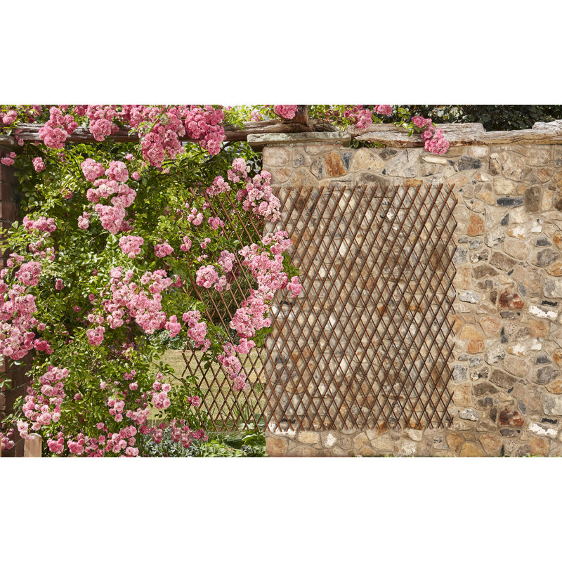 Talkington Wood Expanding Trellis - Twin Pack