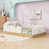Beige is out of stock selected