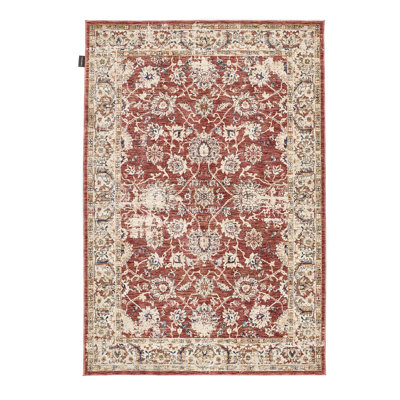 Trebino Oriental 300cm X 480cm Area Rug