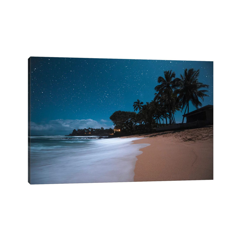 Tropical Night by Lucas Moore - Wrapped Canvas Print, 66.04 cm H x 45.72 cm W x 3.175 cm D