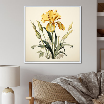Iris jaune, illustration rétro I sur toile