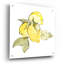 «Lemons I» par Chris Paschke-101632264