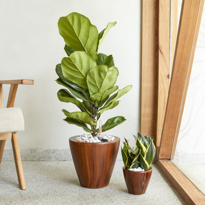 Paquet de 2 pots à fleurs auto-arrosants en bois foncé 10 po