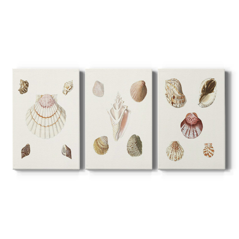 Pastel Knorr Shells IV - Toile tendue sur mesure avec châssis - 3 pièces, H 60 po x l 120 po